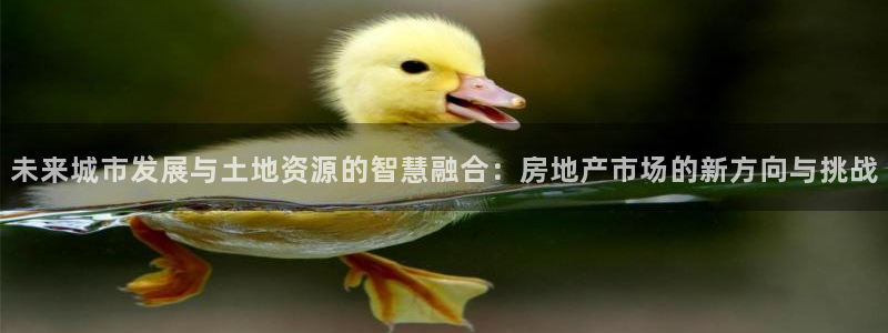 新宝5登录注册：未来城市发展与土地资源的智慧融合：房地产市场