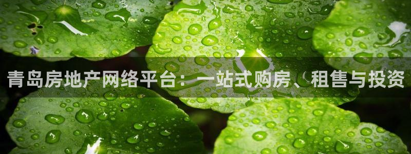 新宝5可靠吗：青岛房地产网络平台：一站式购房、租售与投资