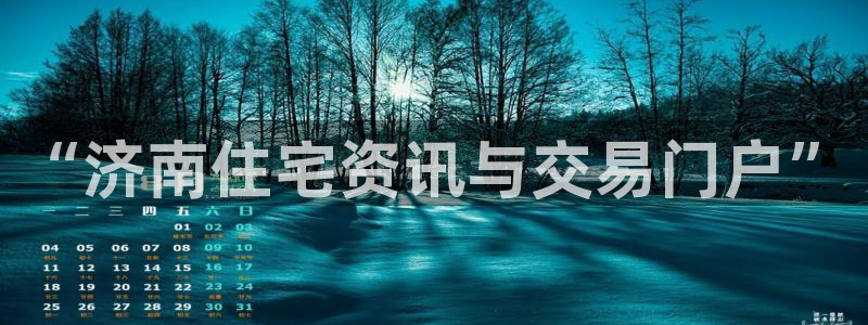 有人知道新宝5么