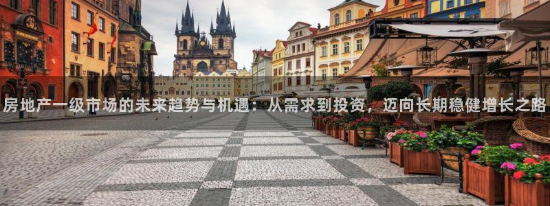 新宝股东张听2 5 5：房地产一级市场的未来趋势与机遇：从需