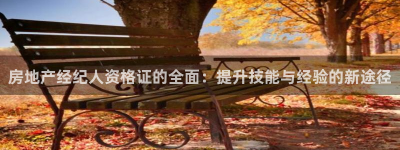 新宝5首页：房地产经纪人资格证的全面：提升技能与经验的新途径