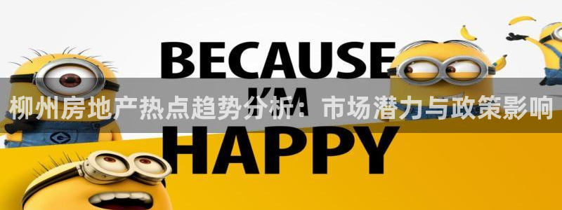 新宝5代理注册：柳州房地产热点趋势分析：市场潜力与政策影响