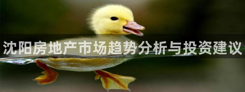 新宝5彩票娱乐平台：沈阳房地产市场趋势分析与投资建议
