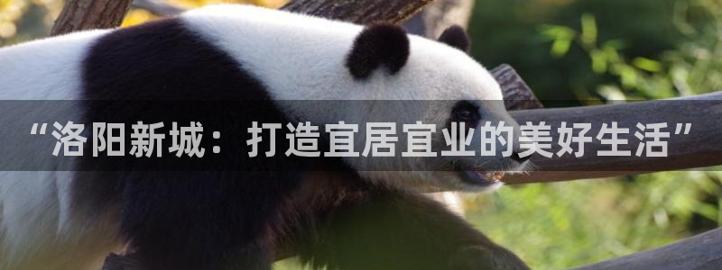 新宝5测试：“洛阳新城：打造宜居宜业的美好生活”