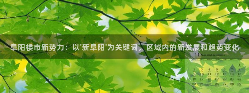 新宝5娱乐方