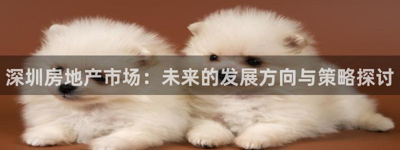 新宝j2O5O5O：深圳房地产市场：未来的发展方向与策略探讨
