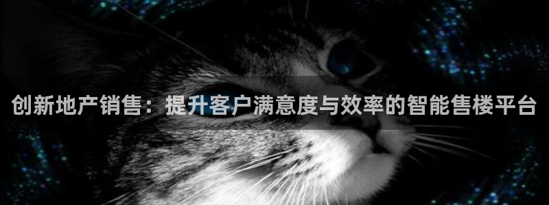 新宝堂新会陈皮5年：创新地产销售：提升客户满意度与效率的智能