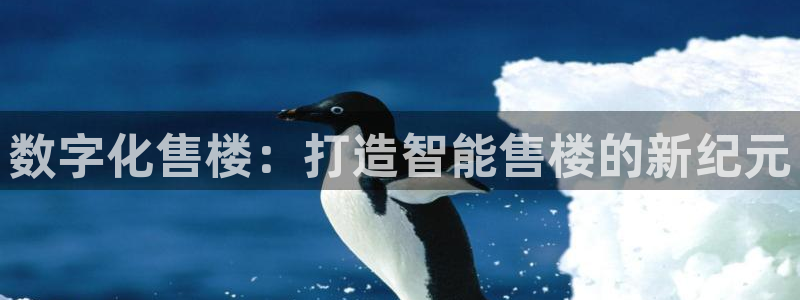 新宝速5：数字化售楼：打造智能售楼的新纪元