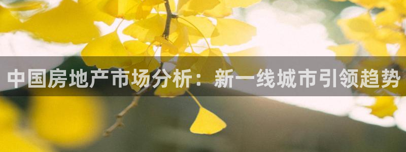 新宝5主管：中国房地产市场分析：新一线城市引领趋势