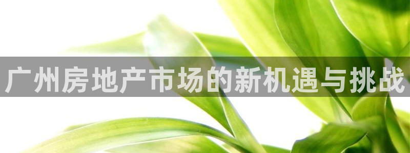 新宝集团新宝5：广州房地产市场的新机遇与挑战