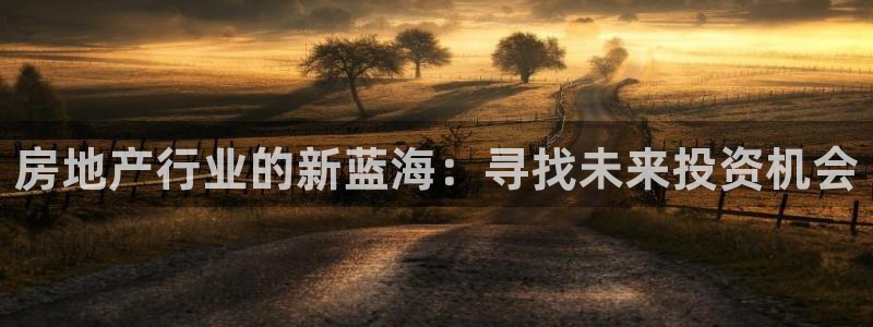 新宝5手机下载：房地产行业的新蓝海：寻找未来投资机会