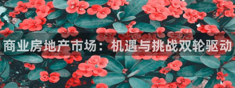 新宝5电脑登录网址