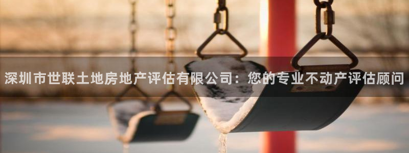新宝5找找74OOO5：深圳市世联土地房地产评估有限公司：您