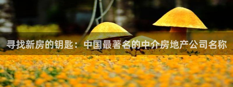 新宝b2O5O5O：寻找新房的钥匙：中国最著名的中介房地产公