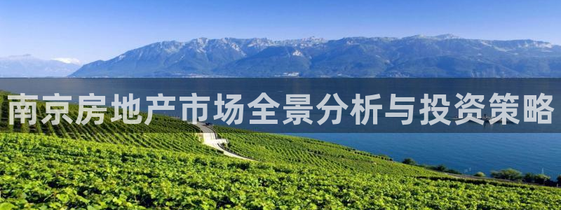 新宝5培训：南京房地产市场全景分析与投资策略