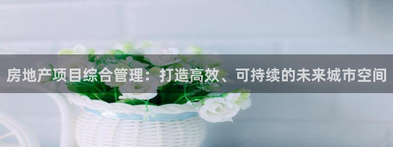 新宝5平台登录注册：房地产项目综合管理：打造高效、可持续的未