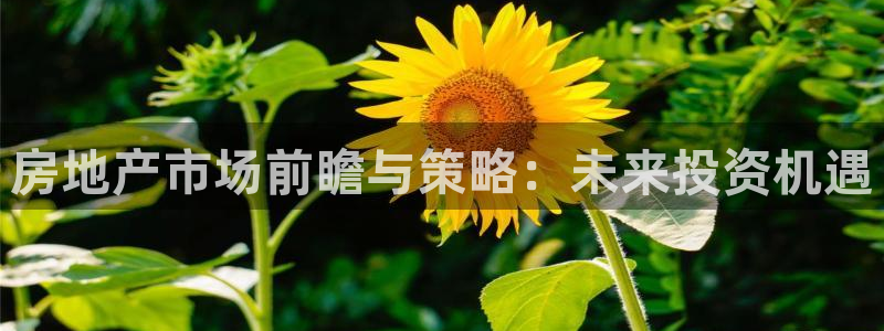 新宝5网址：房地产市场前瞻与策略：未来投资机遇