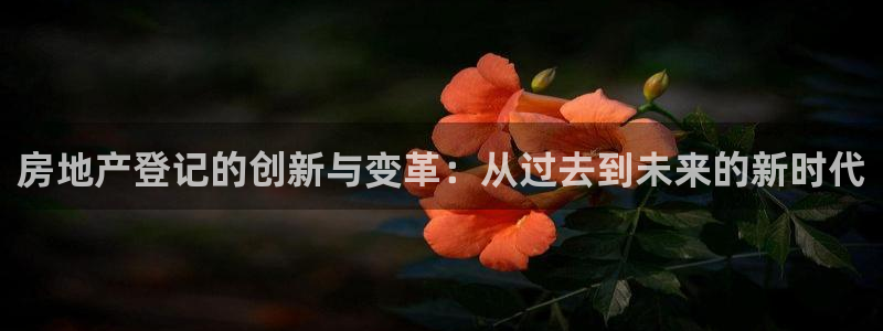新宝5官网霸：房地产登记的创新与变革：从过去到未来的新时代