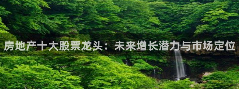 新宝5测速登陆：房地产十大股票龙头：未来增长潜力与市场定位