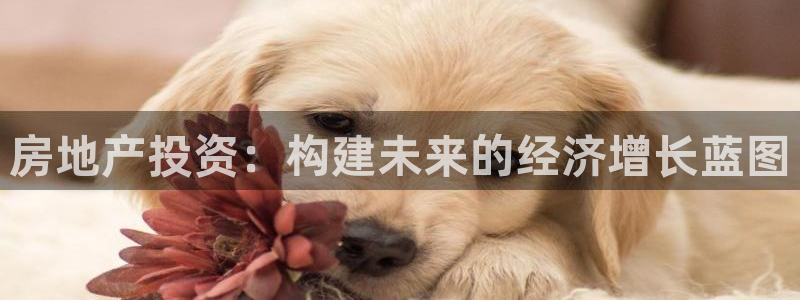 新宝3得74OO5：房地产投资：构建未来的经济增长蓝图