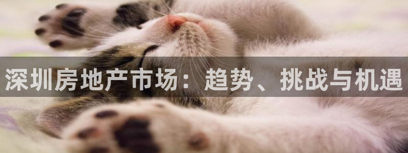 新宝5挂机软件：深圳房地产市场：趋势、挑战与机遇