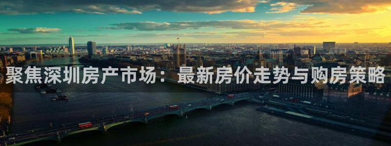 新宝股东王听2 5 5：聚焦深圳房产市场：最新房价走势与购房