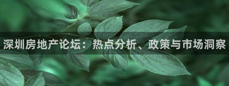 新宝5招商222111：深圳房地产论坛：热点分析、政策与市场