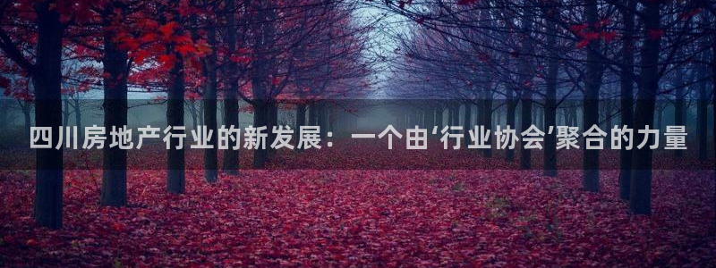 新宝5现在还能玩吗：四川房地产行业的新发展：一个由‘行业协会