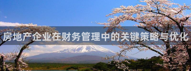 新宝5平台登陆：房地产企业在财务管理中的关键策略与优化