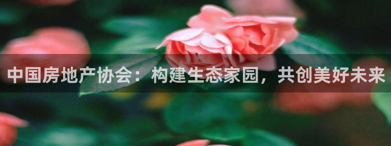 新宝5娱乐网址：中国房地产协会：构建生态家园，共创美好未来