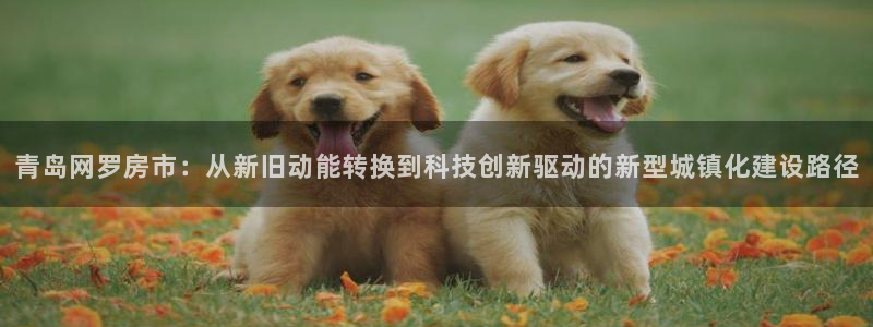 新宝5台卡：青岛网罗房市：从新旧动能转换到科技创新驱动的新型