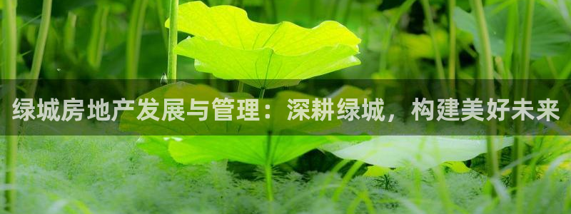 新宝b2O5O5O：绿城房地产发展与管理：深耕绿城，构建美好