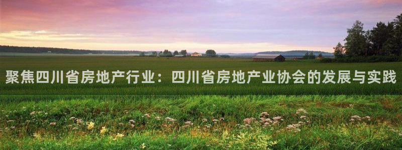 新宝5网：聚焦四川省房地产行业：四川省房地产业协会的发展与实