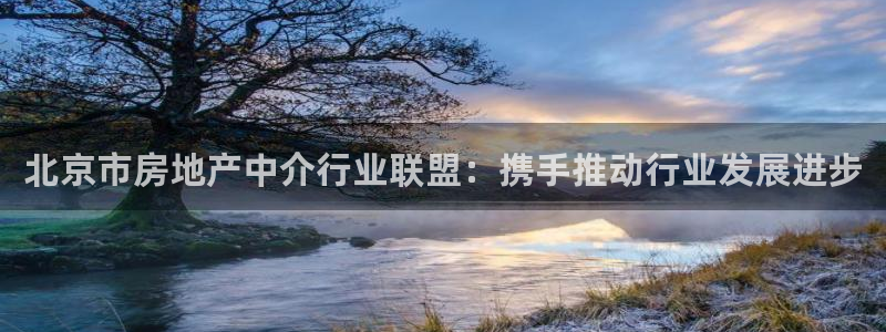 新宝5开户：北京市房地产中介行业联盟：携手推动行业发展进步