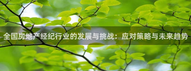 新宝5平台登录：全国房地产经纪行业的发展与挑战：应对策略与未