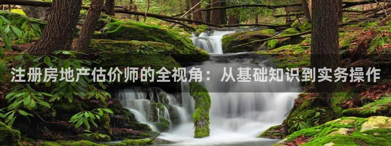 新宝5登录不了：注册房地产估价师的全视角：从基础知识到实务操
