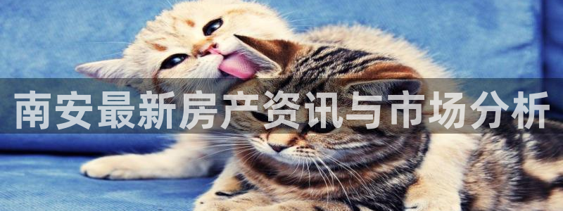 新宝5d：南安最新房产资讯与市场分析