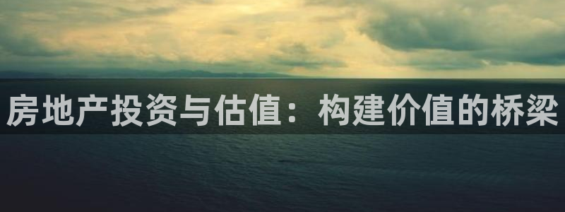 新宝5登录不了：房地产投资与估值：构建价值的桥梁
