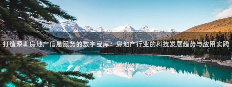 新宝5平台咋样：打造深圳房地产信息服务的数字宝库：房地产行业