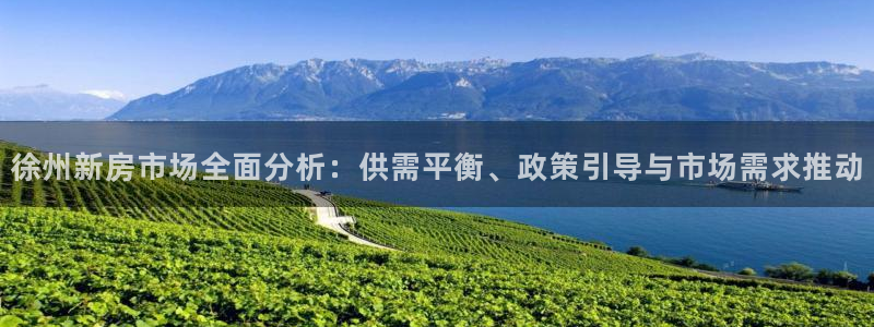新宝5电脑：徐州新房市场全面分析：供需平衡、政策引导与市场需