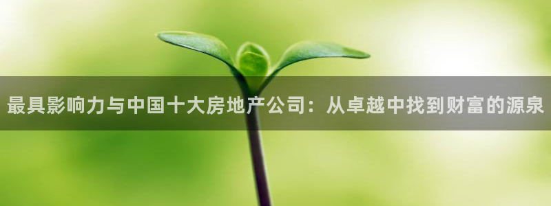 新宝5官方登录入口：最具影响力与中国十大房地产公司：从卓越中