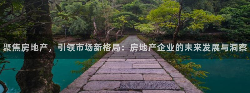 新宝5测登录：聚焦房地产，引领市场新格局：房地产企业的未来发