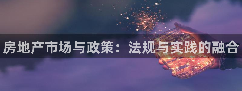 新宝5官方登录入口：房地产市场与政策：法规与实践的融合