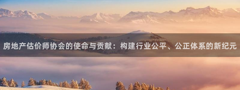 新宝娱乐5：房地产估价师协会的使命与贡献：构建行业公平、公正