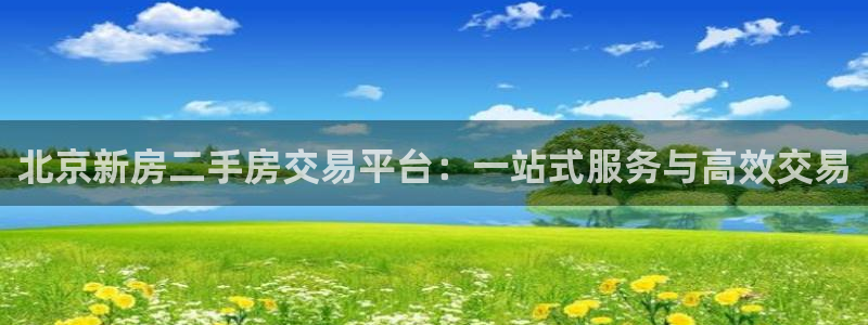 新宝5测试：北京新房二手房交易平台：一站式服务与高效交易