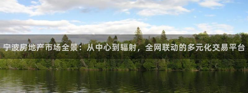 新宝5代理注册：宁波房地产市场全景：从中心到辐射，全网联动的
