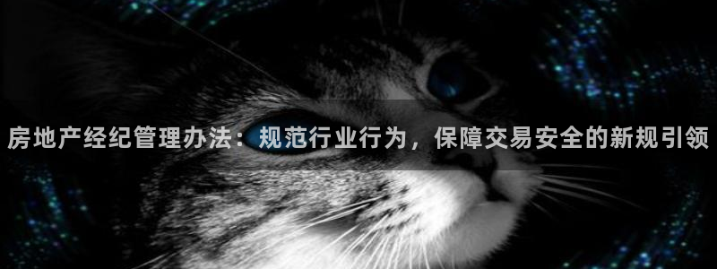 新宝5 注册：房地产经纪管理办法：规范行业行为，保障交易安全