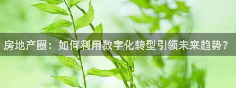 新宝5：房地产圈：如何利用数字化转型引领未来趋势？