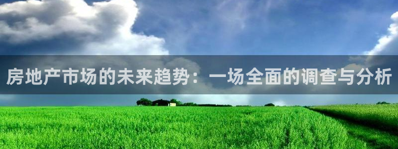 新宝5登录界面：房地产市场的未来趋势：一场全面的调查与分析