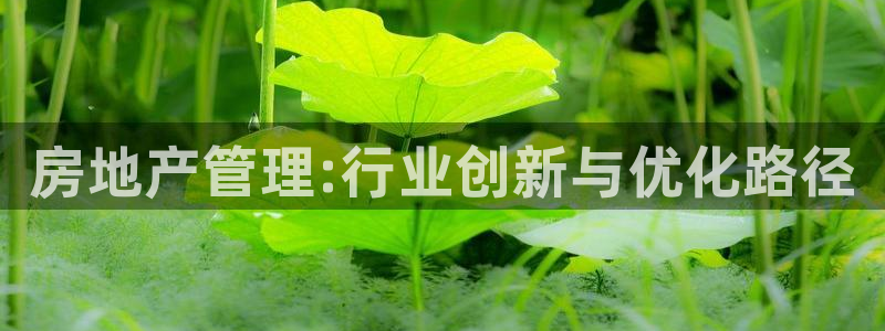 新宝5尤74OOO5：房地产管理:行业创新与优化路径